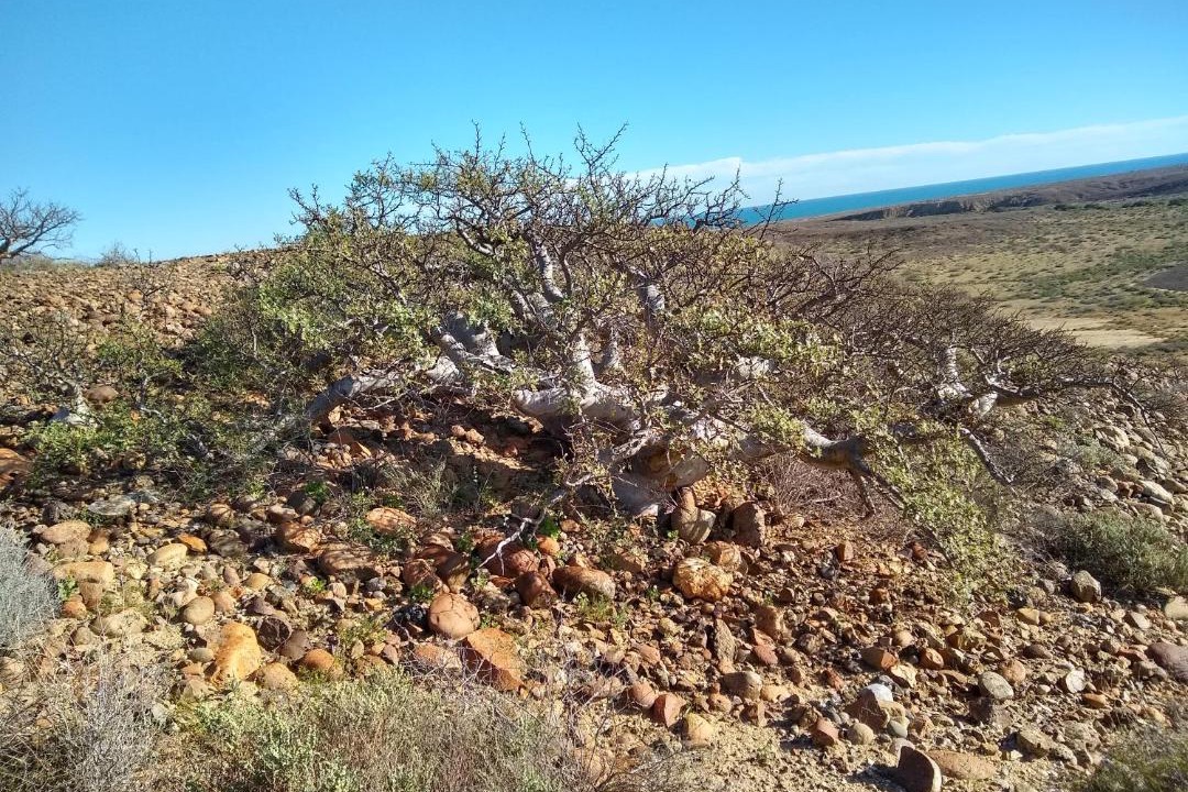 Photo of Others in Punta Abreojos