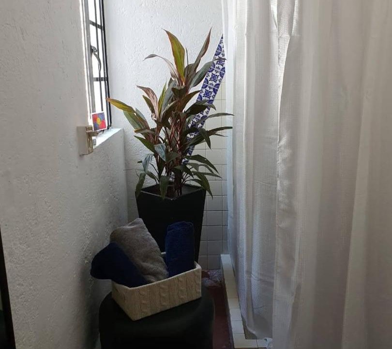 Photo of Others in Cuernavaca