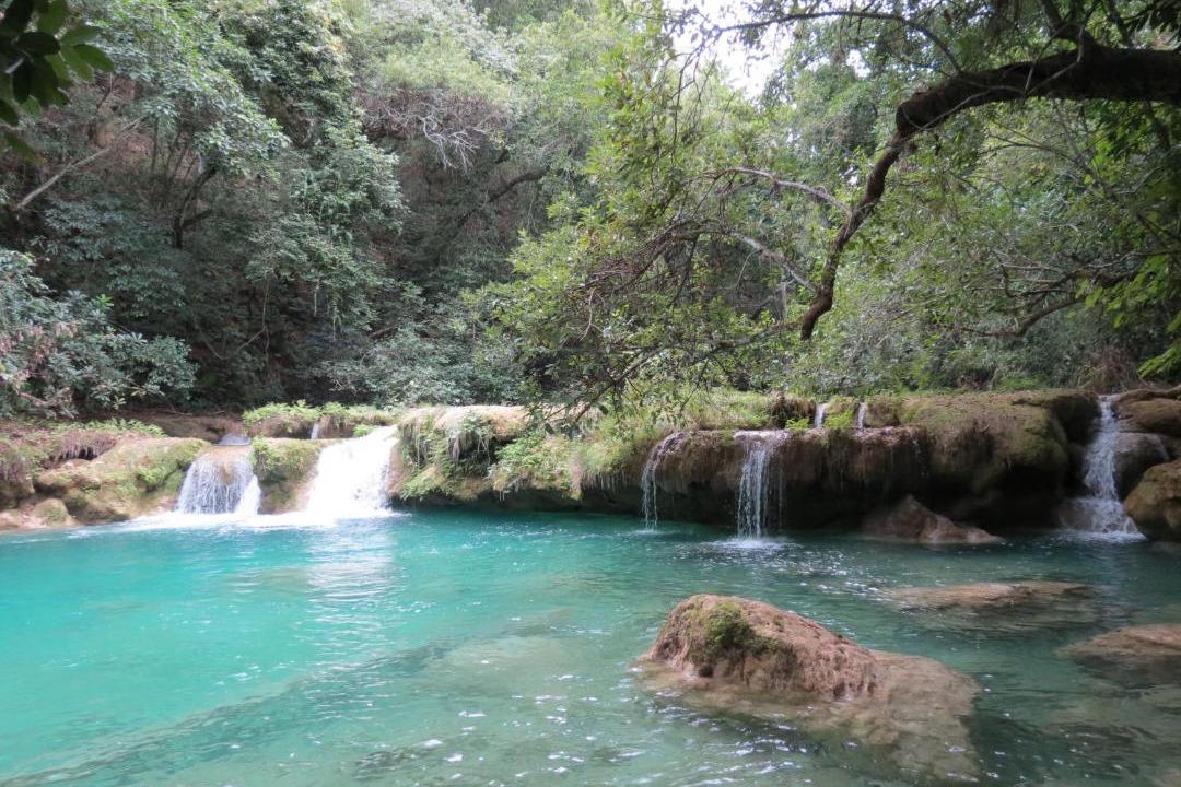 Photo of Others in El Naranjo