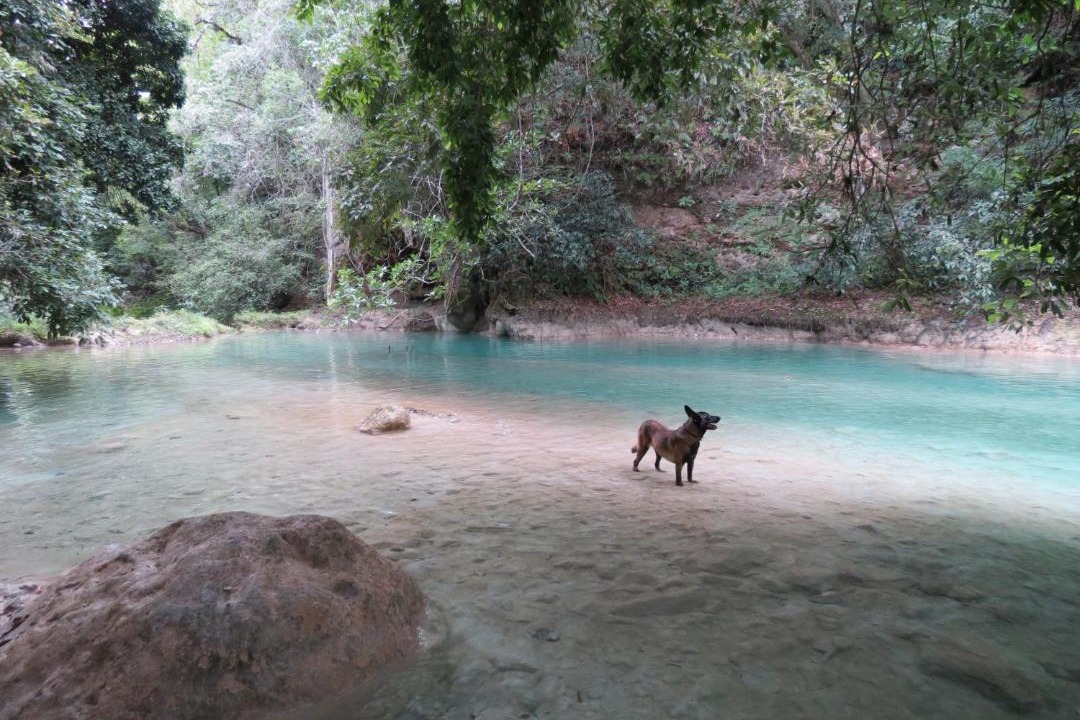Photo of Others in El Naranjo