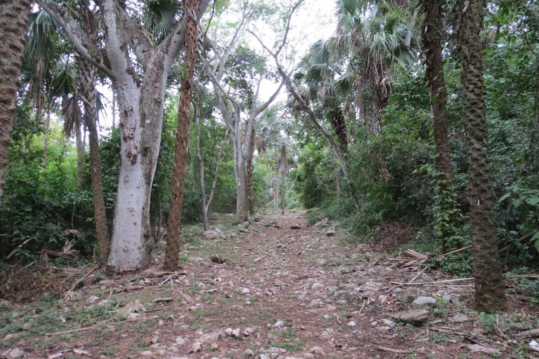 Photo of Outdoor in El Naranjo