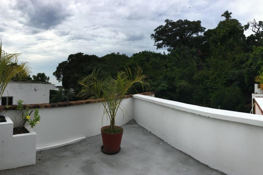 Photo of Others in Chacala