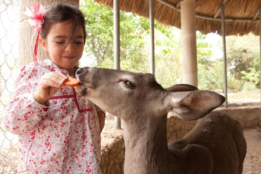 Photo of Human In Picture in Merida Municipality