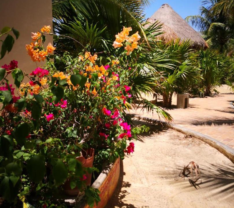 Photo of Others in Progreso Municipality