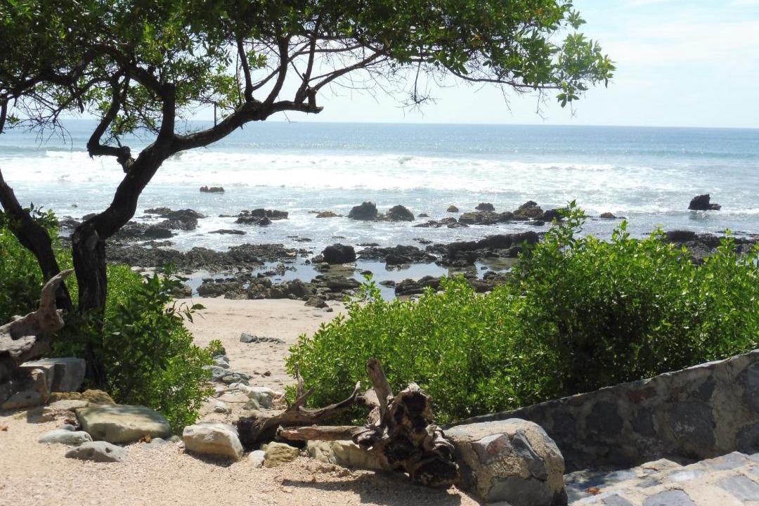 Photo of Others in Troncones