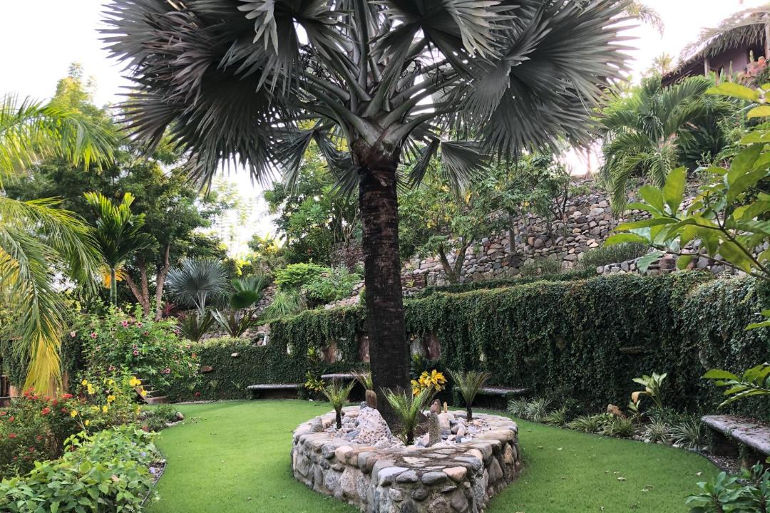 Photo of Others in Sayulita