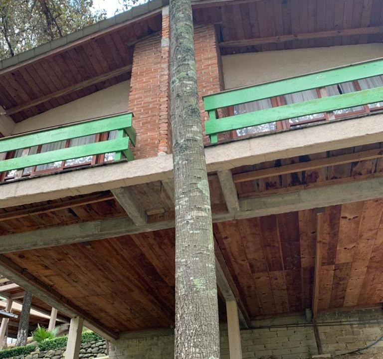 Photo of Others in Huasca De Ocampo