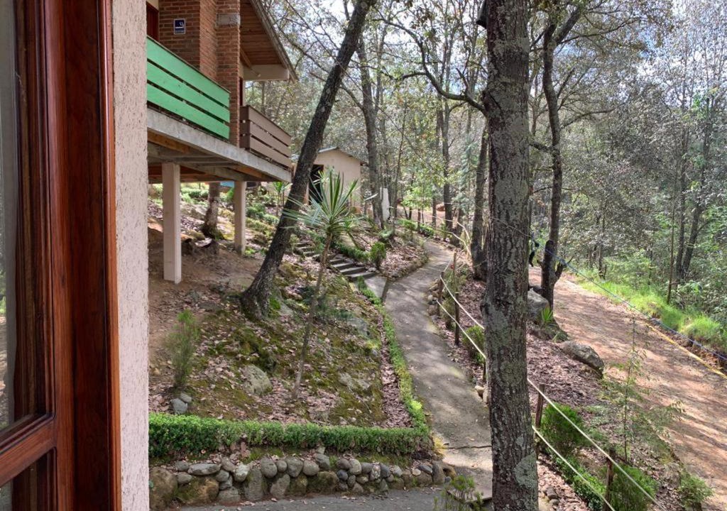 Photo of Others in Huasca De Ocampo