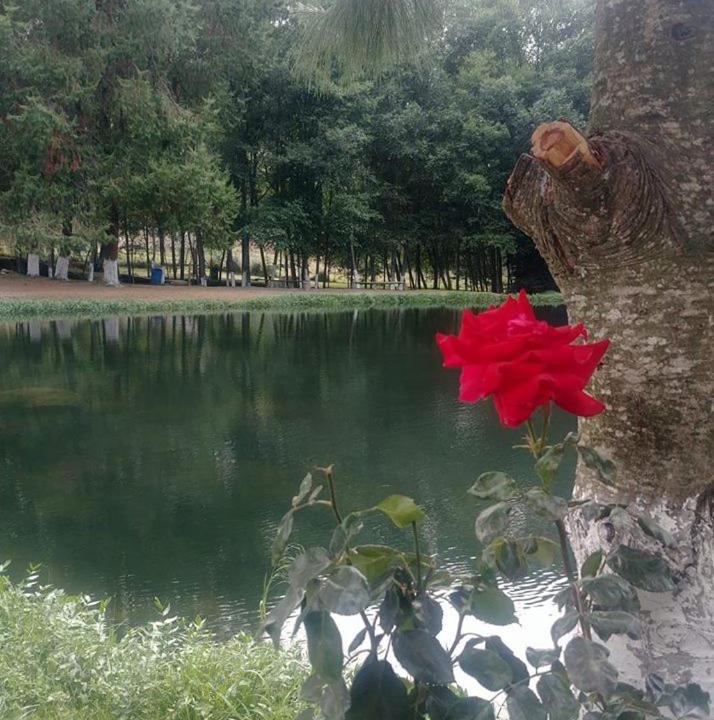 Photo of Outdoor in Huasca De Ocampo