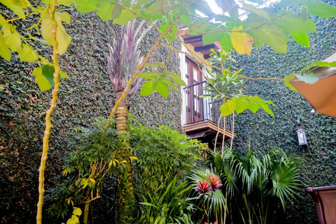 Photo of Others in Coatepec