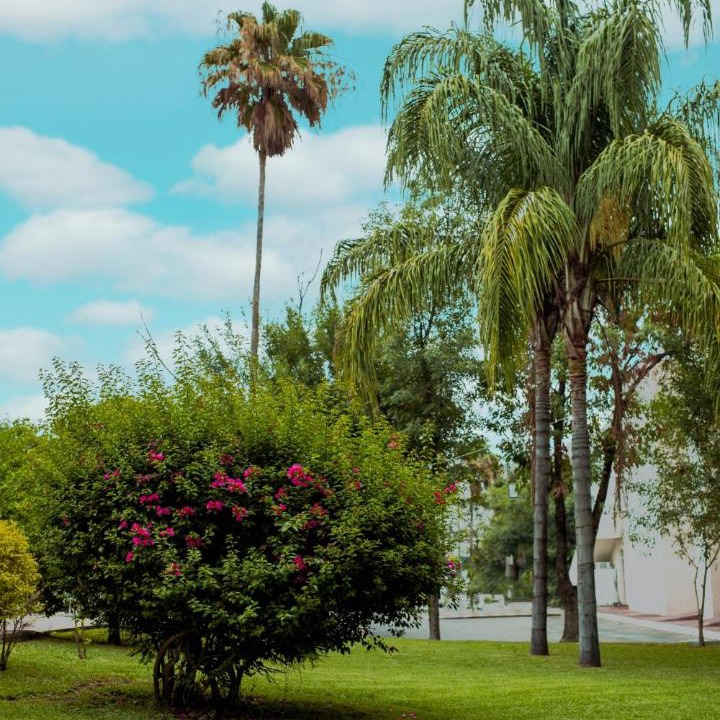 Photo of Others in Ciudad Victoria