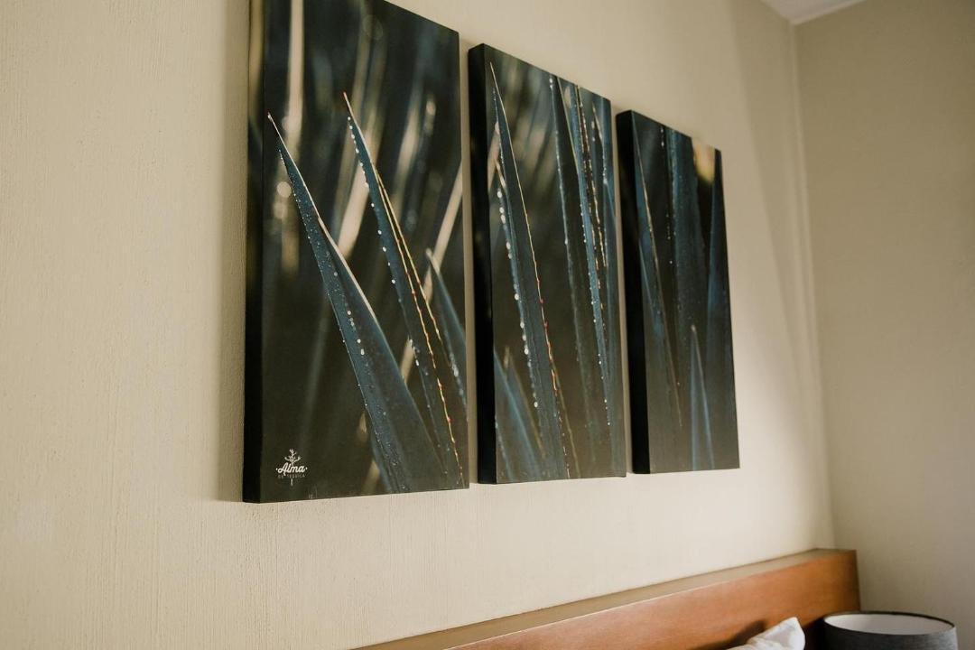 Photo of Bedroom in Tequila