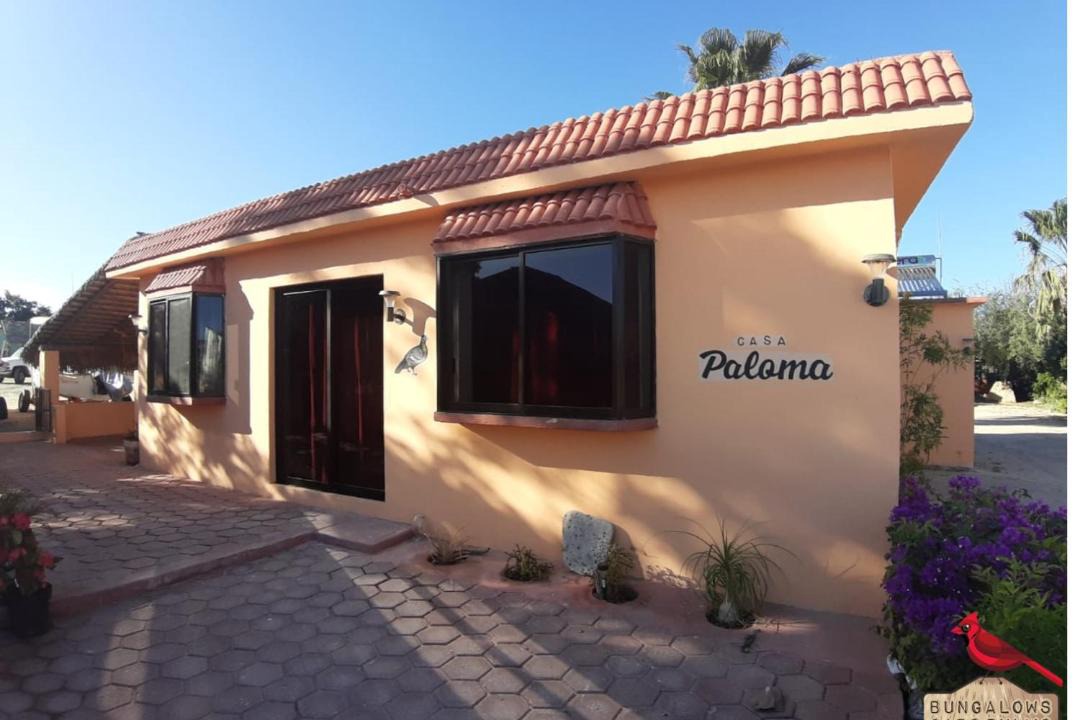 Photo of Others in Cabo Pulmo