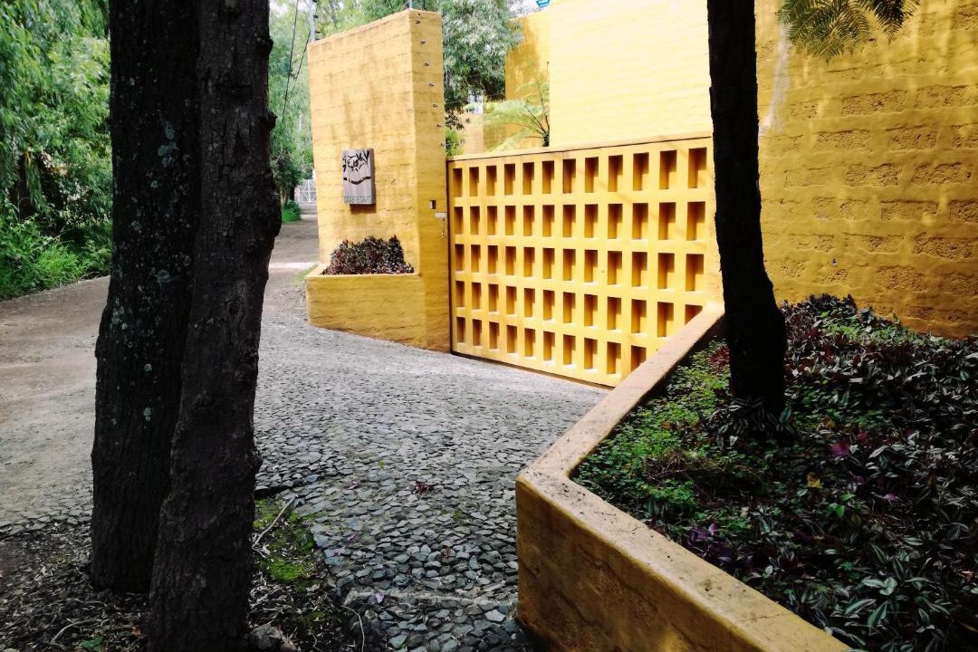 Photo of Others in Morelia