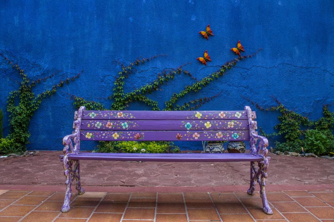 Photo of Others in Guadalajara