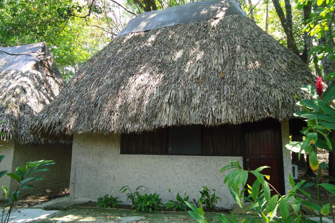 Photo of Others in Palenque