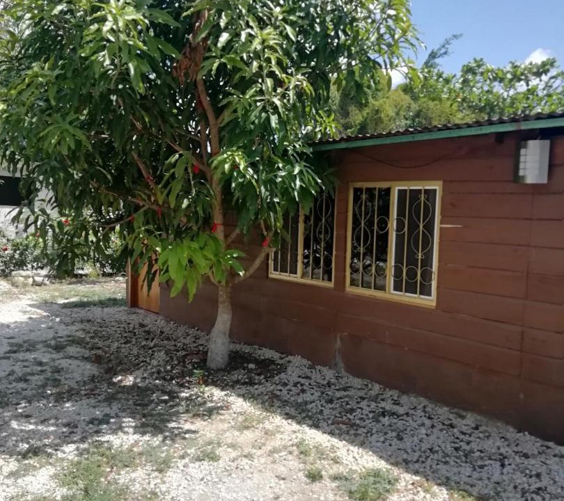 Photo of Buildings in Xpujil