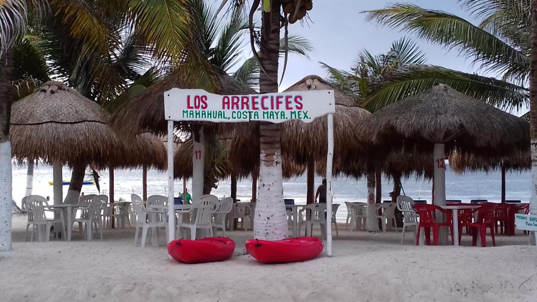 Photo of Others in Mahahual