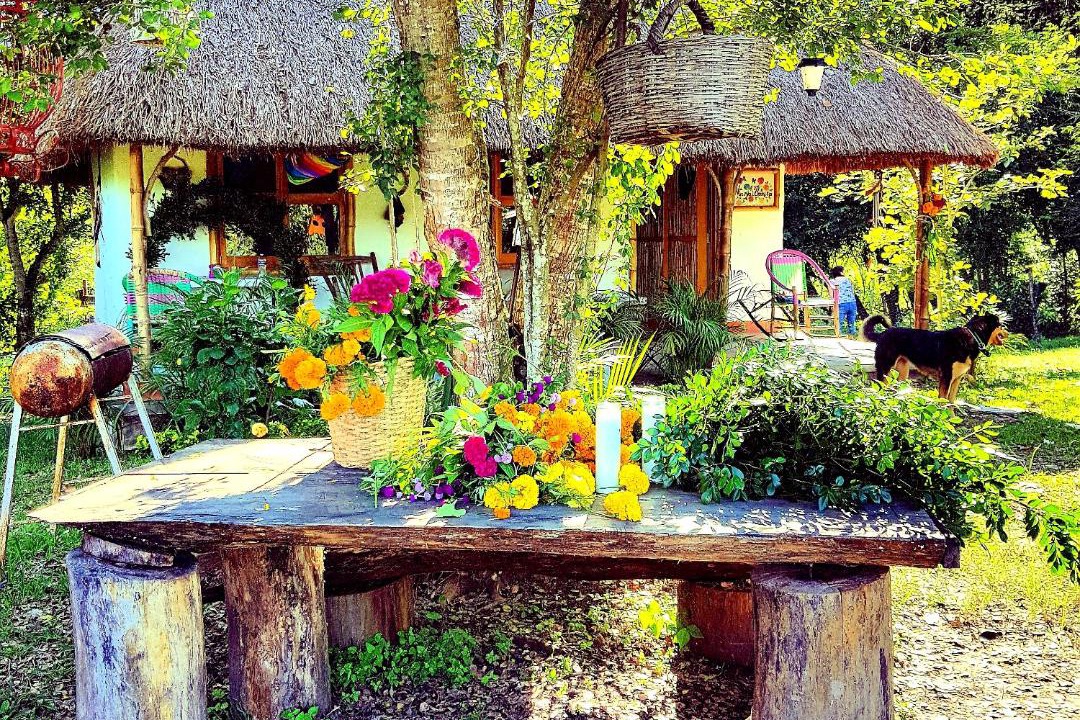 Photo of Others in Tanchachin