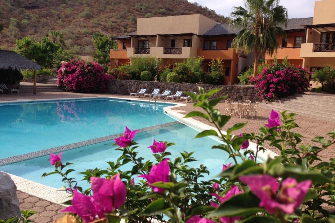 Photo of Others in Puerto Escondido