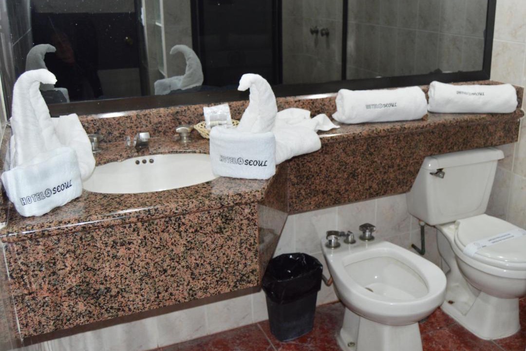 Photo of Bathroom in Downtown Mexico City