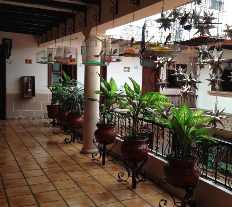Photo of Others in Centro
