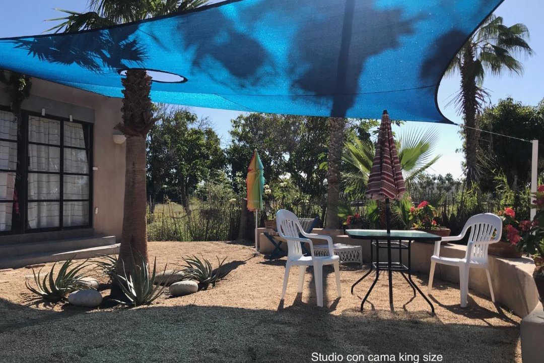 Photo of Others in Todos Santos