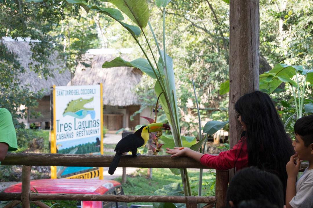 Photo of Others in Lacanja