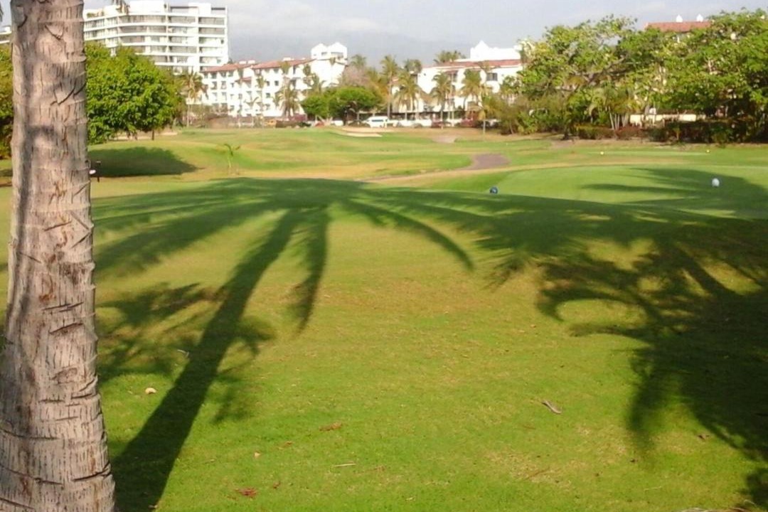 Photo of Others in Marina Vallarta