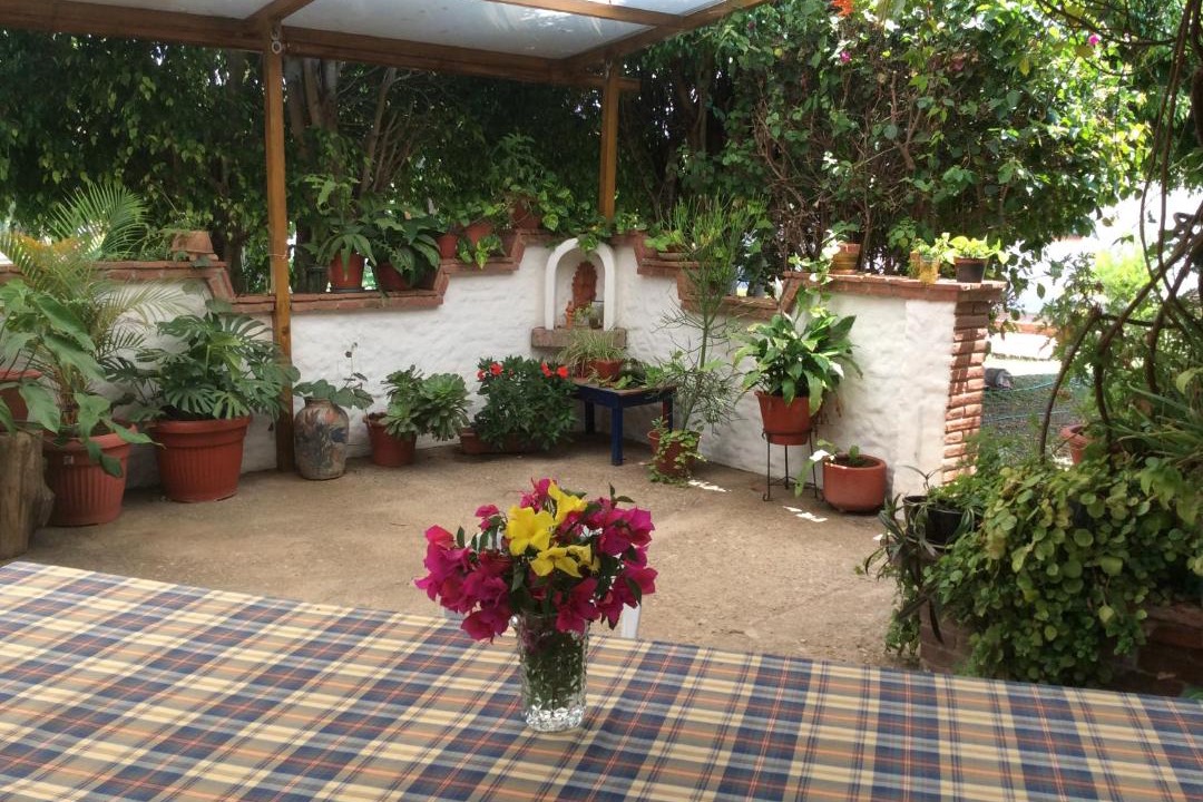 Photo of Others in San Agustin Etla