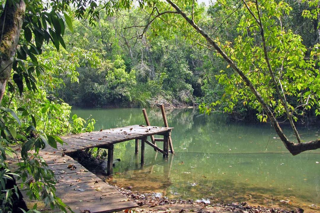 Photo of Others in Lacanja