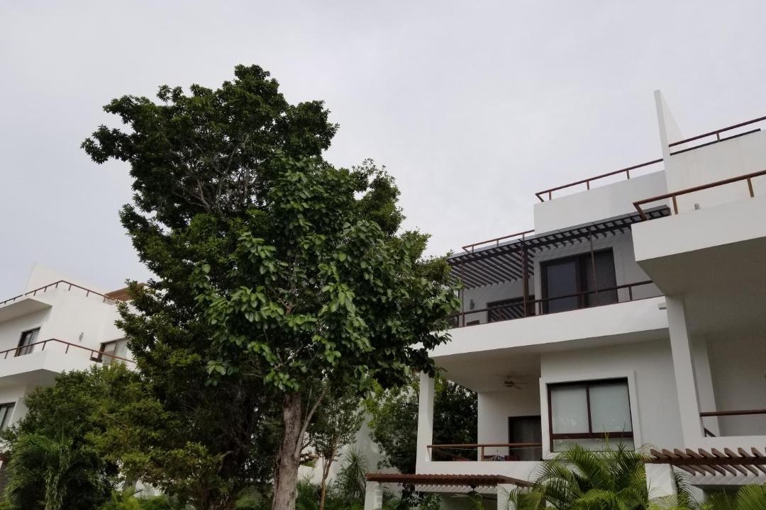 Photo of Buildings in Akumal