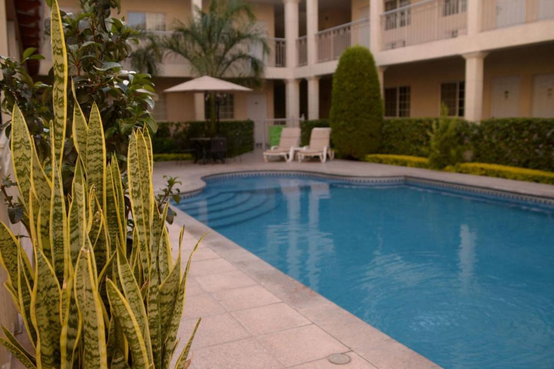 Photo of Others in Torreon