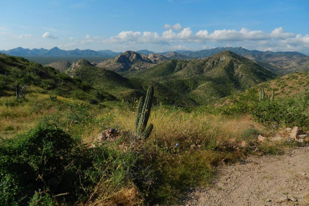 Photo of Outdoor in Cabo Pulmo