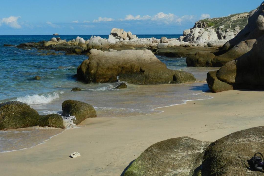 Photo of Others in Cabo Pulmo