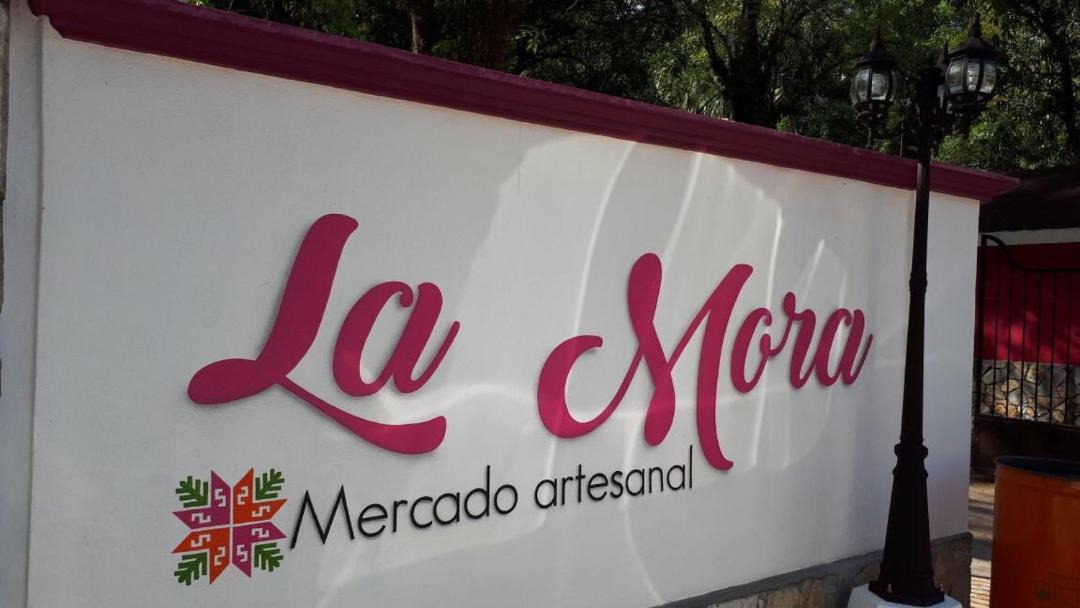 Photo of Others in Aquismon