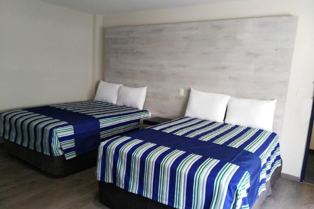 Photo of Others in Reforma