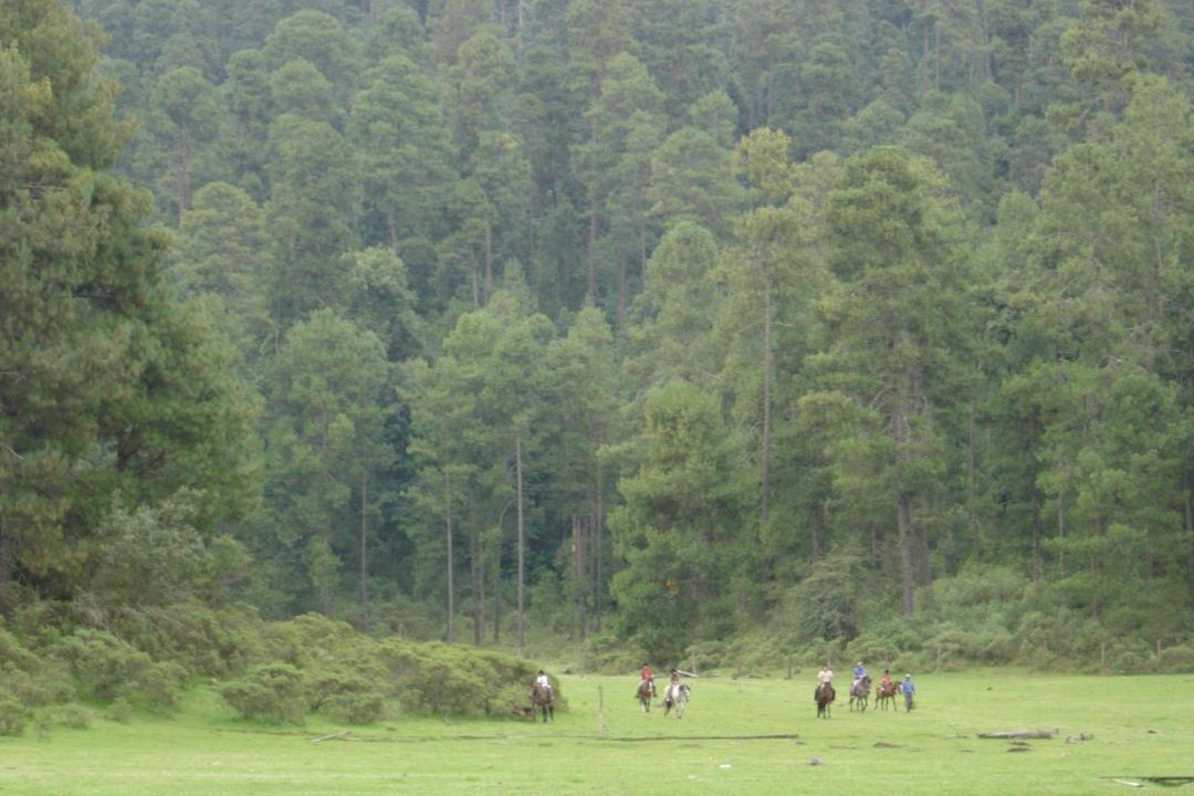 Photo of Others in El Aguaje