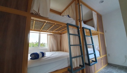 Shared Dormitory, Mixed Dorm