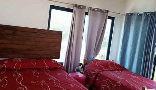 Family Double or Twin Room