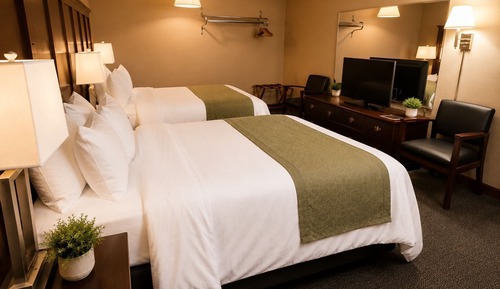 Comfort Suite