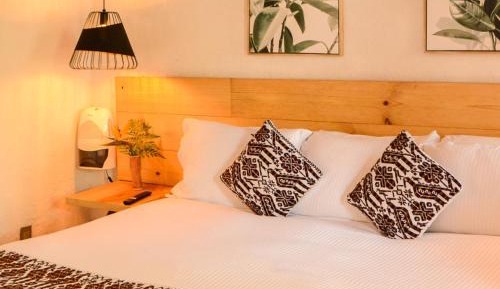King Room - Pet Friendly