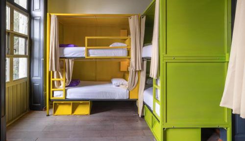 Bunk Bed in Mixed Dormitory Room