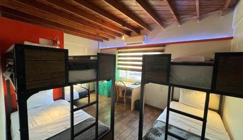 Bed in 6-Bed Female Dormitory Room