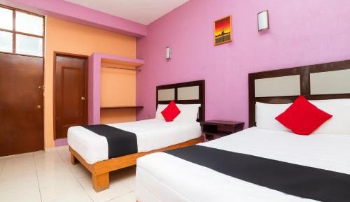 Standard Two Beds With View