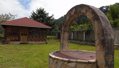 Apartment with Garden View