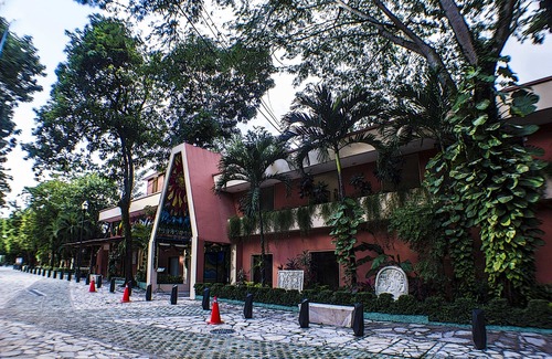 Palenque Hotel | Hotel Maya Tulipanes Palenque