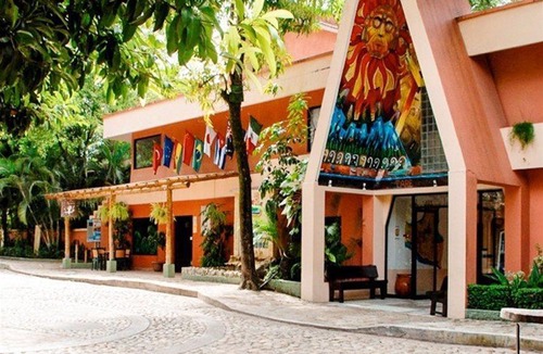 Palenque Hotel | Hotel Maya Tulipanes Palenque