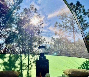 Arteaga Resort | Camping en la Sierra de Arteaga